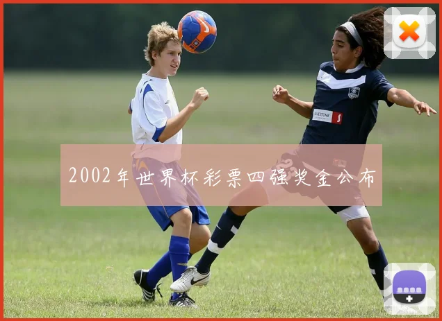 2002年世界杯彩票四强奖金公布